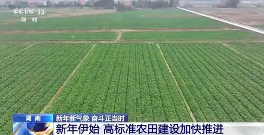 灌溉不再“一炮轟” 高標(biāo)準(zhǔn)農(nóng)田持續(xù)“更新”